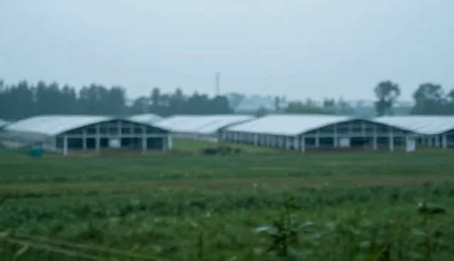 质量提升中的效率优化：性能与适用条件分析